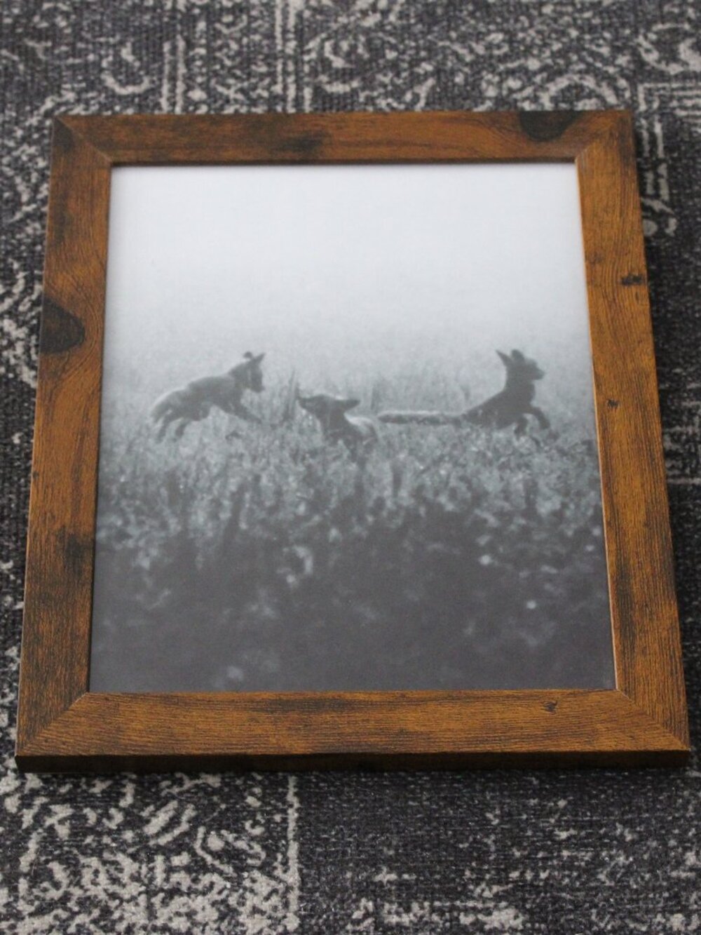 Framed Playing Foxes in Fog Vintage Black and White Photo Print 8x10